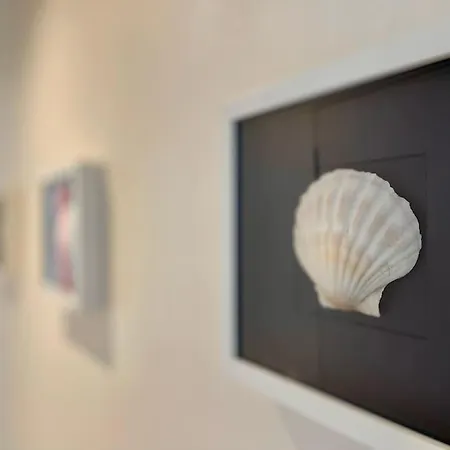 Apartament « bleu Comme Mer » T2 A Deux Pas Des Plages Concarneau